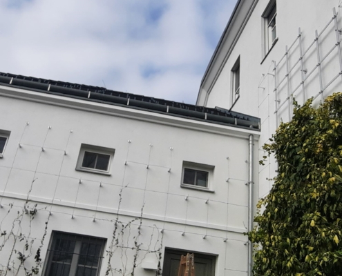 Fassadenbegrünung - Villa Leobendorf