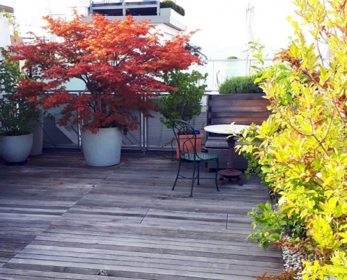Herbstbeginn im dritten Jahr der Terrassenerrichtung durch Ecowork